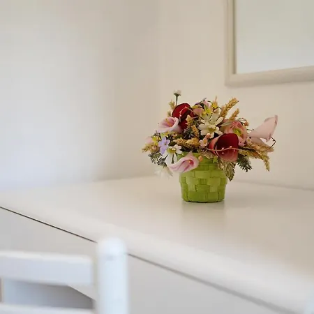 Casetta Antonella Lecchiore